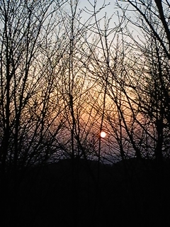 f0017897_020930.jpg