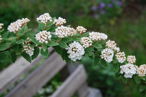 c0124100_23365833.jpg