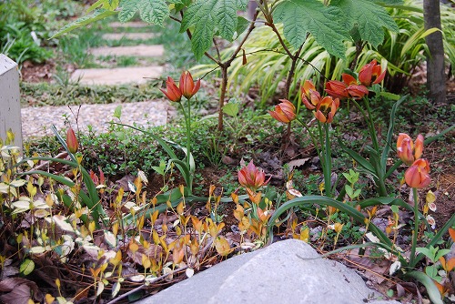 c0124100_2338203.jpg