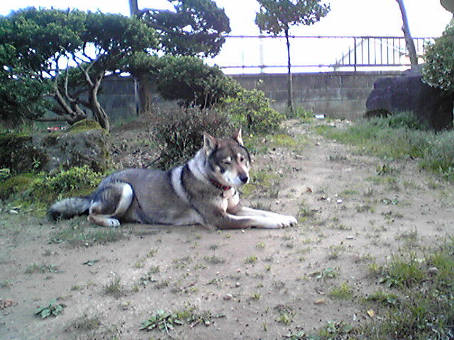 f0079202_1791668.jpg