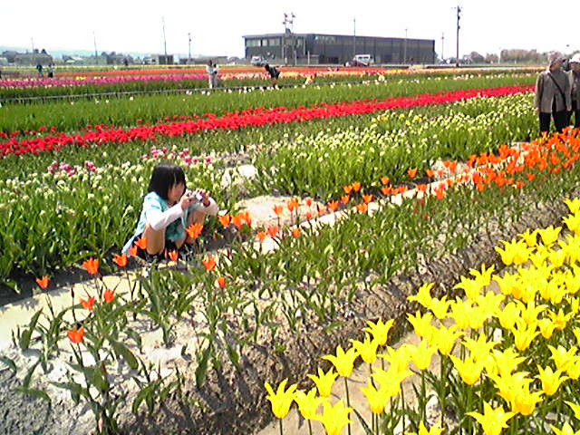 f0079202_1791677.jpg