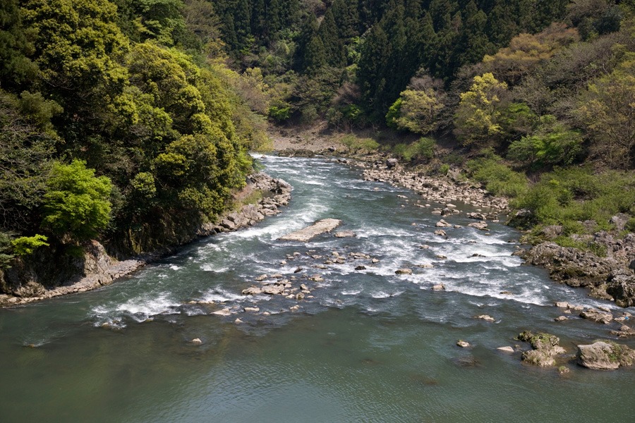 b0043304_23345273.jpg