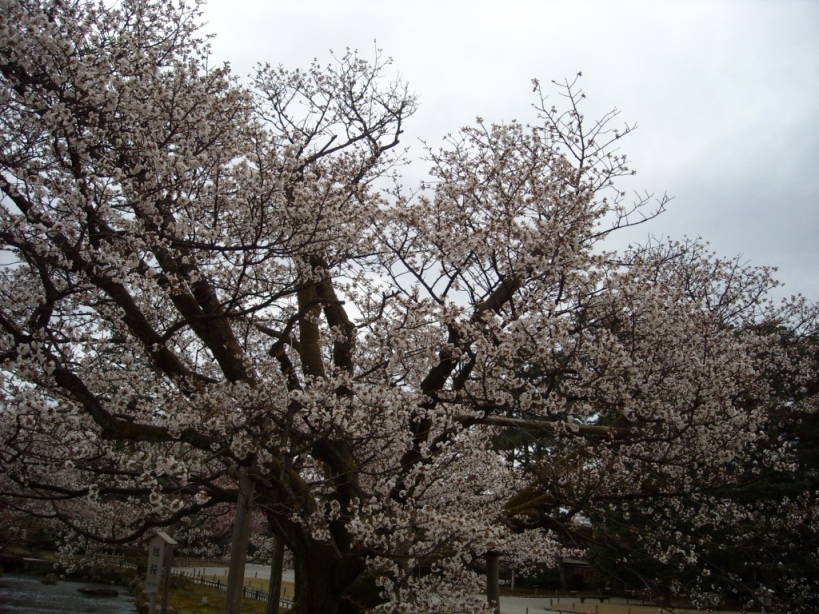 c0193304_14235131.jpg