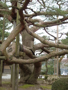 c0193304_14283322.jpg
