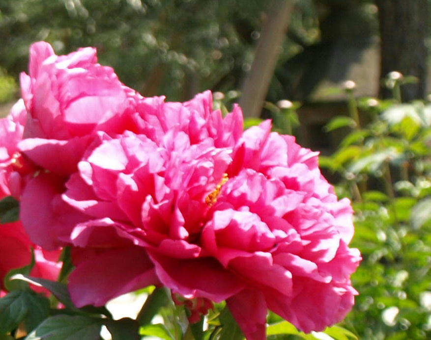 d0028304_248508.jpg