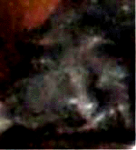 e0103408_13511095.gif