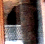 e0103408_13554281.gif