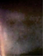 e0103408_1357564.gif