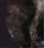 e0103408_1415333.gif