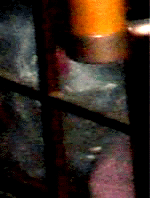 e0103408_144113.gif