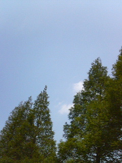 a0011909_1354660.jpg