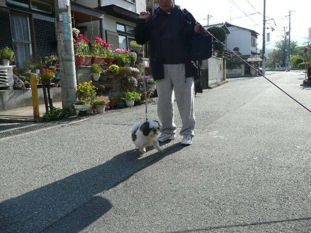 c0165909_12294728.jpg