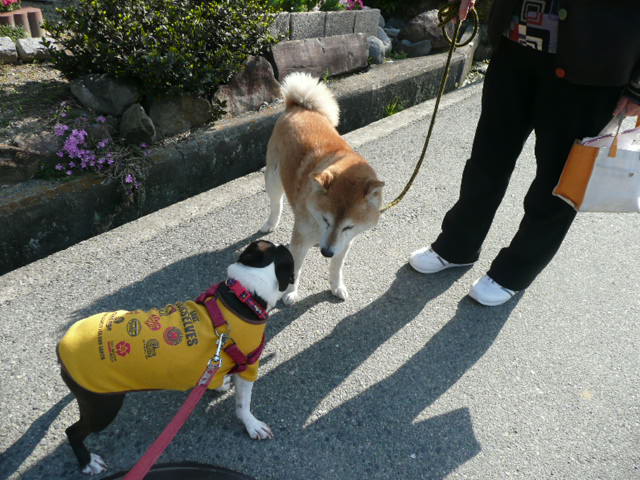 c0165909_12302421.jpg