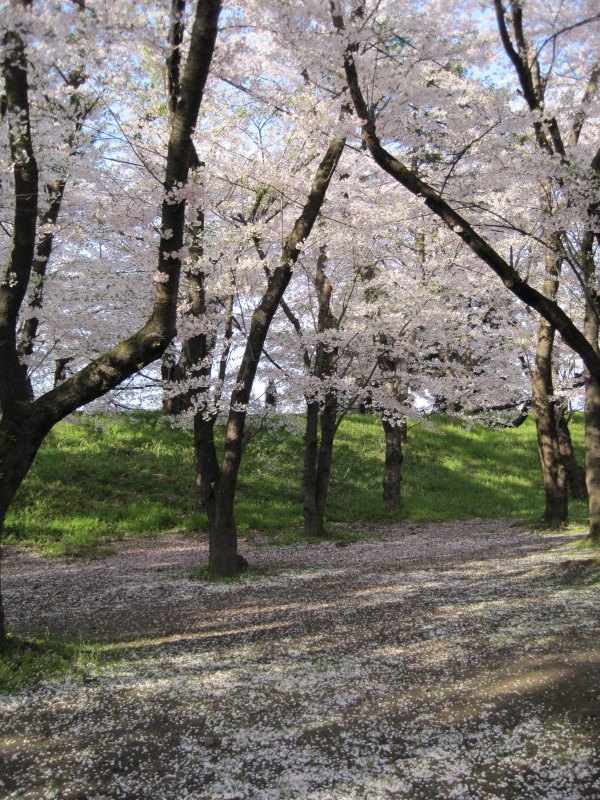 f0144209_20323554.jpg