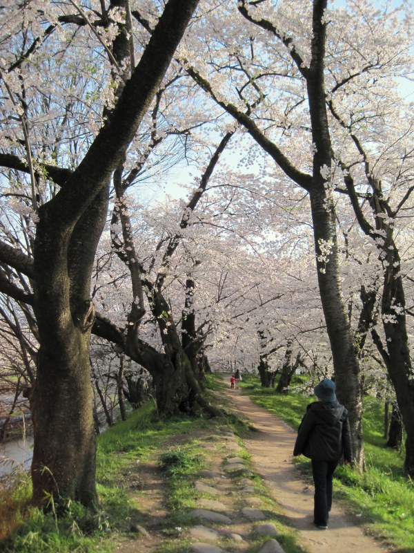 f0144209_20325767.jpg