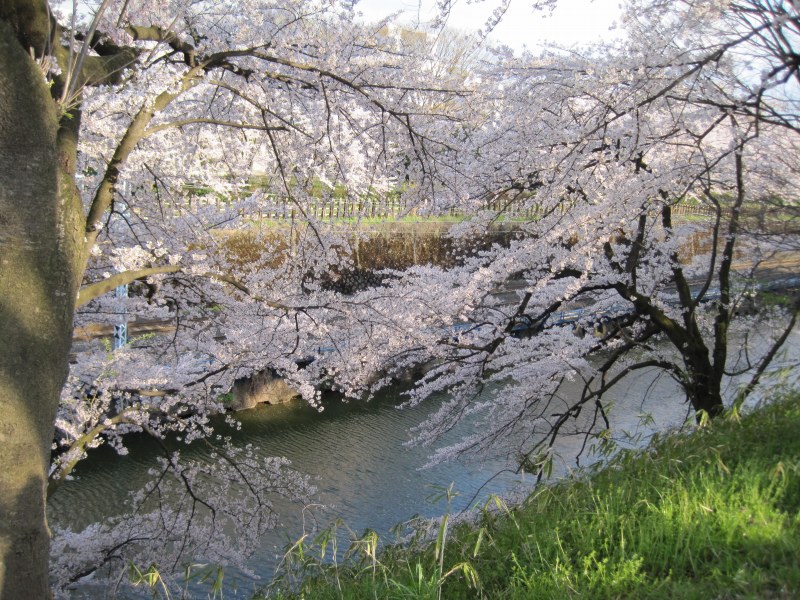 f0144209_2033515.jpg