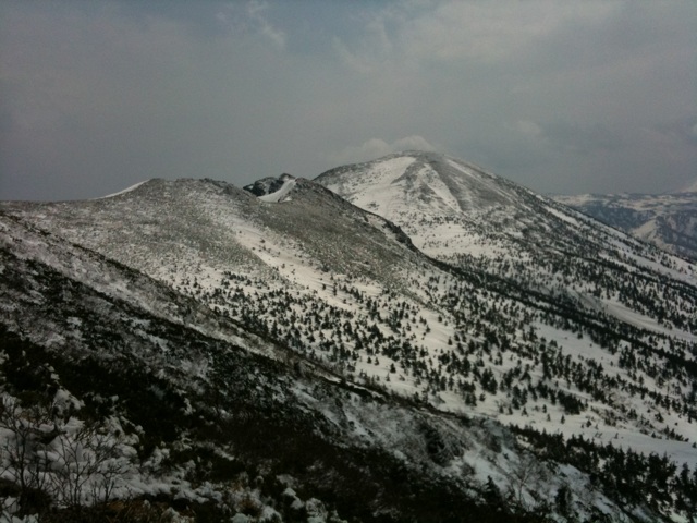 c0153411_171268.jpg