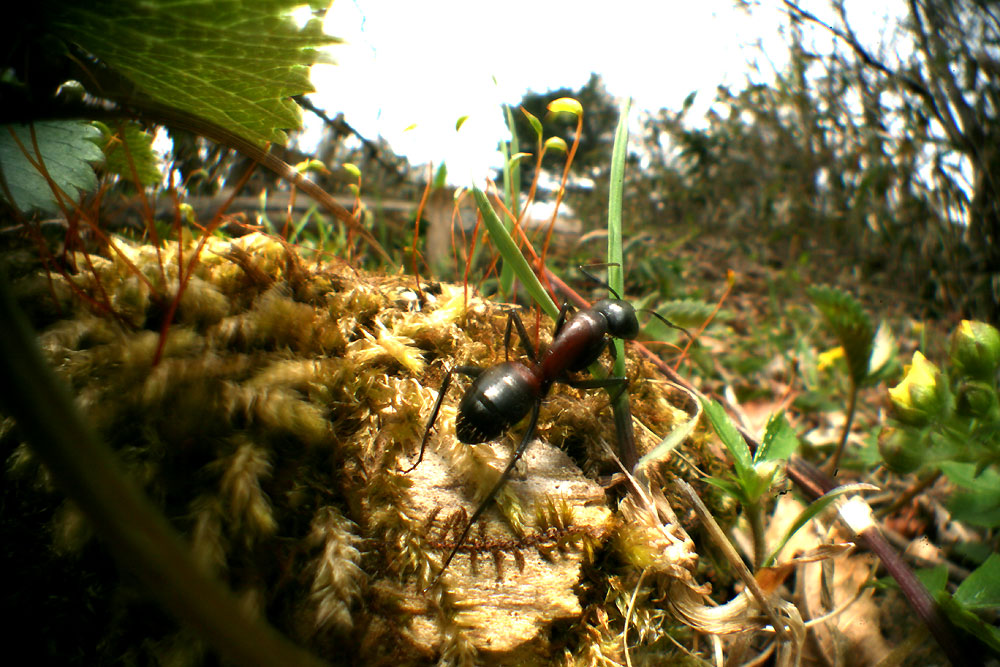 c0145418_2014451.jpg