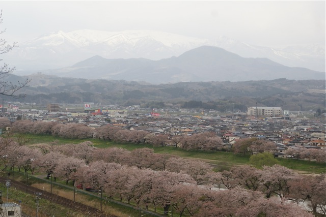 船岡公園_f0143119_9353353.jpg