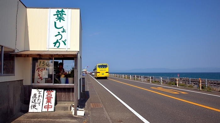 石垣イチゴもいいけでど、今夜は久能の葉ショウガで乾杯！_c0172621_19143647.jpg