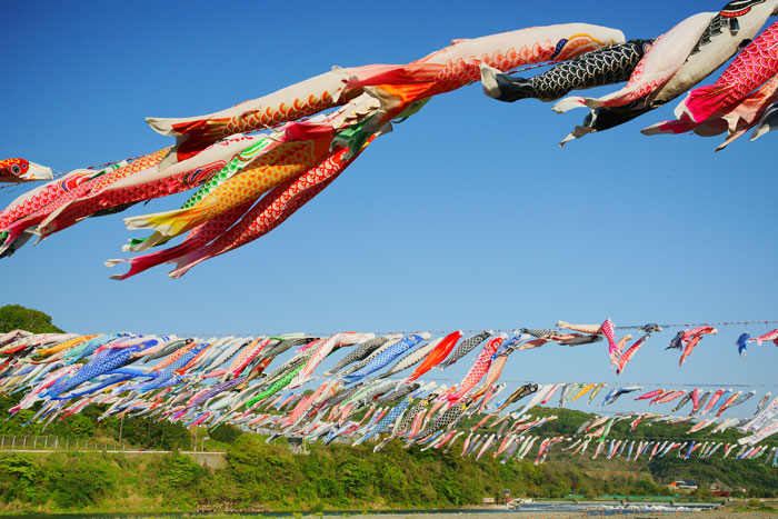 泳げ鯉のぼり相模川 ２０１０ ヨコハマの風と光