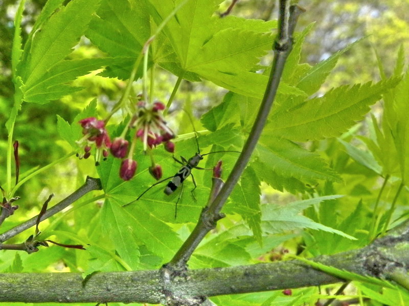 d0090322_2224415.jpg