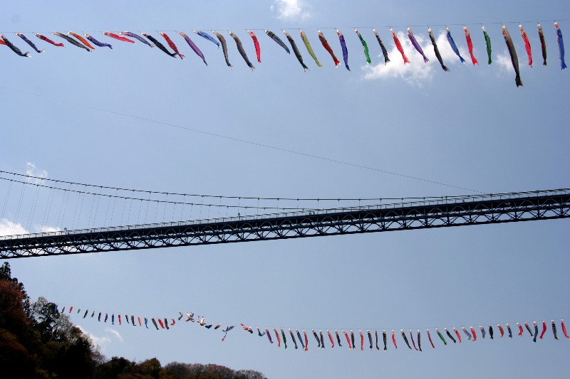 a0004023_73211.jpg