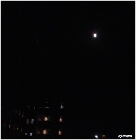 c0003723_8222459.jpg