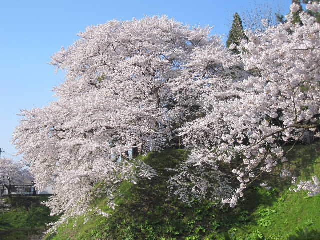 c0141223_2016198.jpg