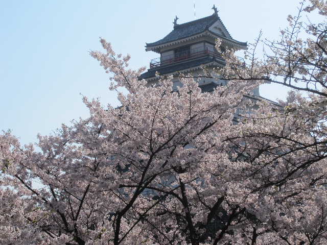 c0141223_20184640.jpg