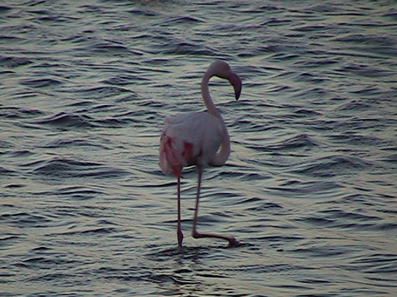 e0055023_17332643.jpg