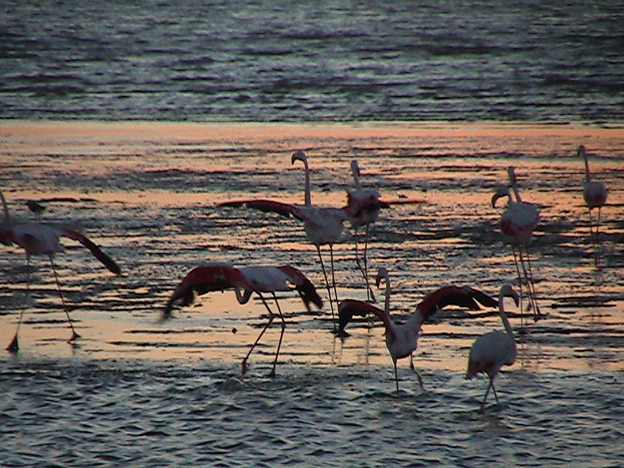 e0055023_17361428.jpg