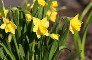f0170524_17212387.jpg