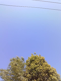 e0094325_1536372.jpg