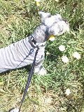 e0094325_15542797.jpg