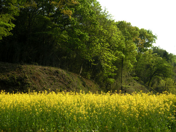 小山田周回練習コース_e0123825_2221379.jpg