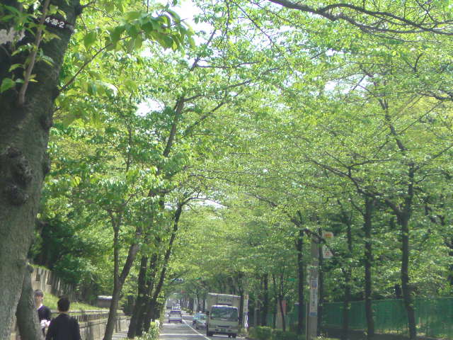 e0016828_10325186.jpg