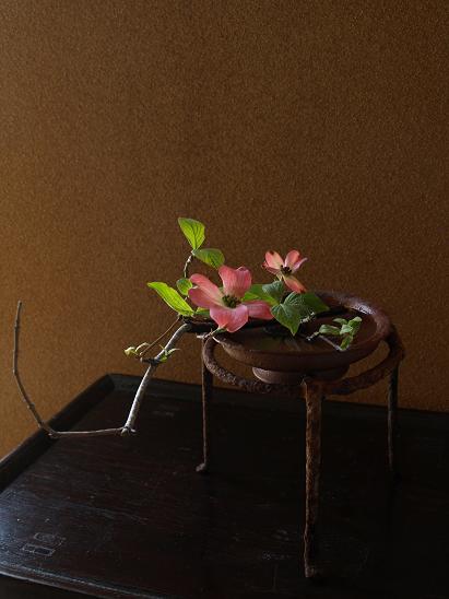 20100430.jpg
