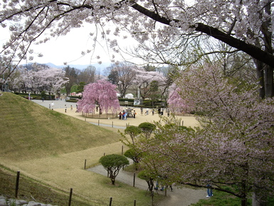 f0113630_7214626.jpg