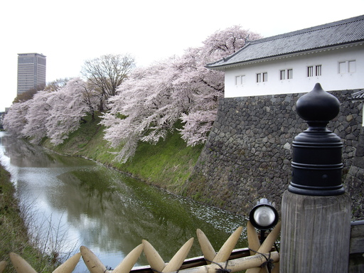 f0113630_721961.jpg
