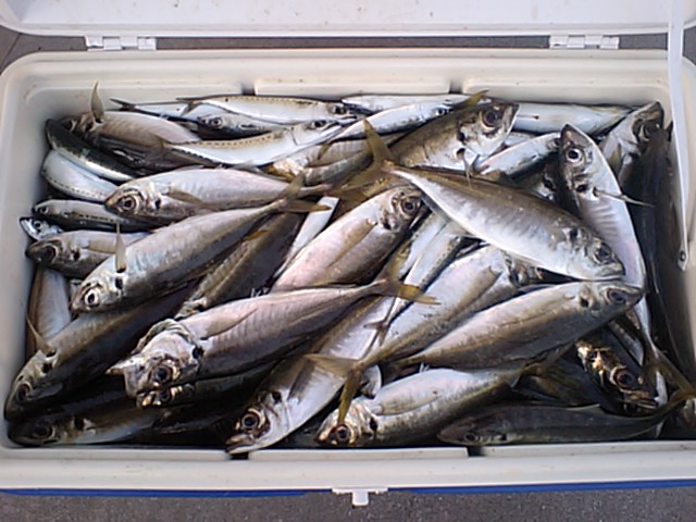 a0132631_18134334.jpg