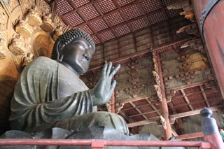 週末旅行 IX：奈良 〜 原始林の奥へ_d0010432_212354100.jpg