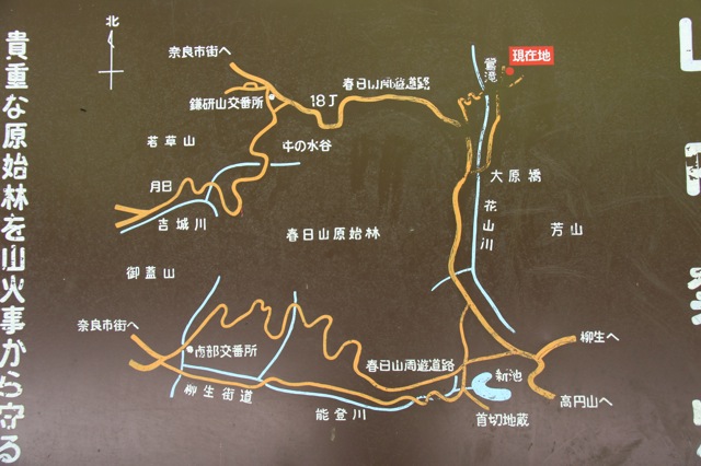 週末旅行 IX：奈良 〜 原始林の奥へ_d0010432_2314367.jpg