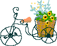 a0006033_13274253.gif