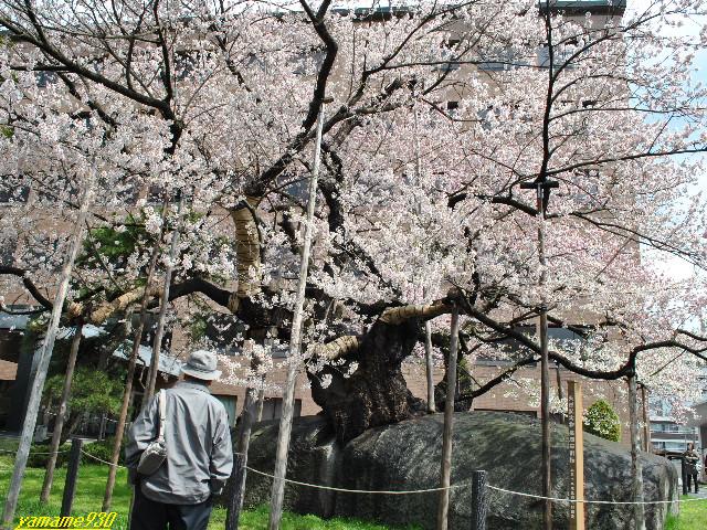 c0225536_0254028.jpg