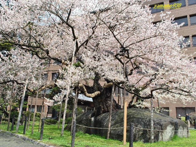 c0225536_026254.jpg