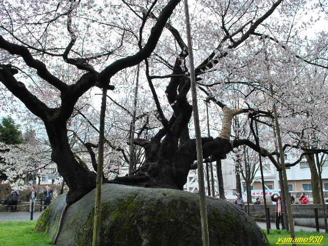 c0225536_0264970.jpg