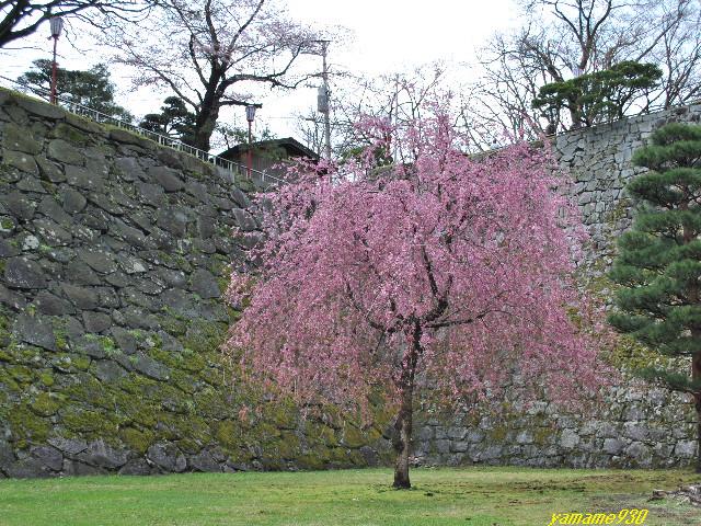 c0225536_0295199.jpg