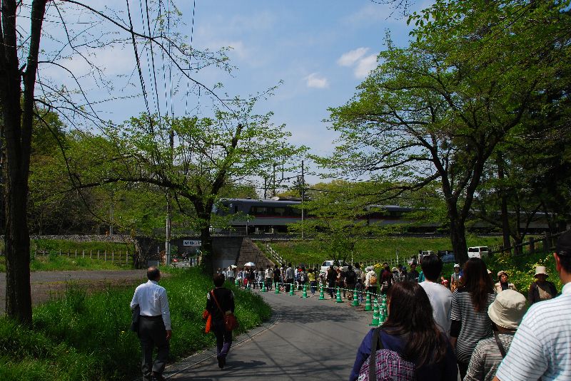 芝桜の丘（その２）_a0156838_23364198.jpg