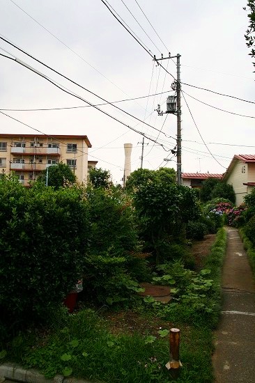 d0141239_19382284.jpg
